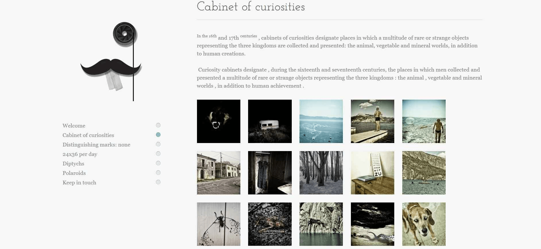 null zinzibest-photographers-hashtags